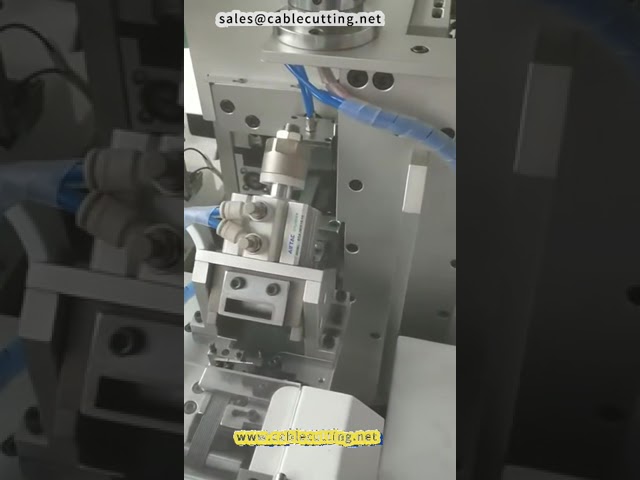 Automatic Flat Cable Wiring Double head Terminal Crimping Machine