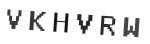 Verification Code Image