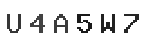 Verification Code Image